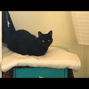 Meet your Posher, Olivia